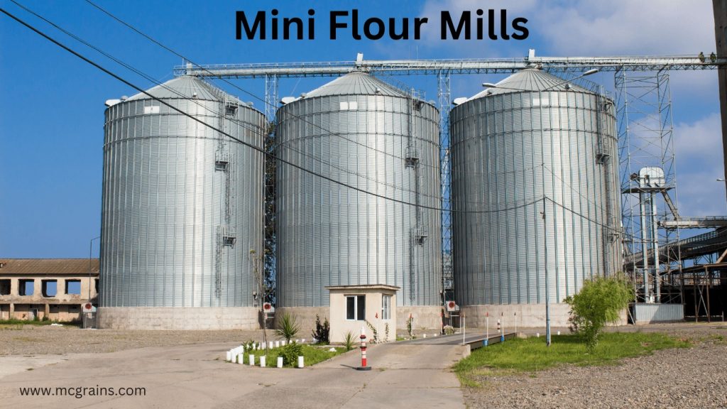 Ultimate Guide to Choosing and Using Mini Flour Mills