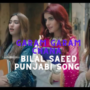 Garam garam chana Bilal Saeed Punjabi song