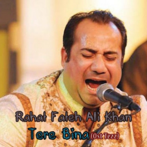 Tere Bin – Rahat Fateh Ali Khan