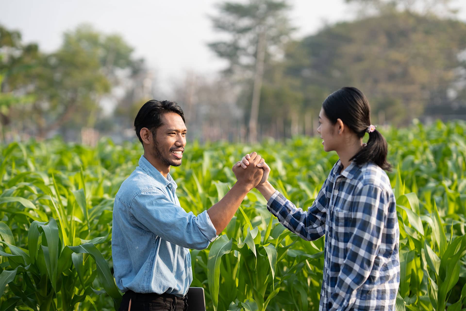 working together two clasped hands of young farmer 34ADS43